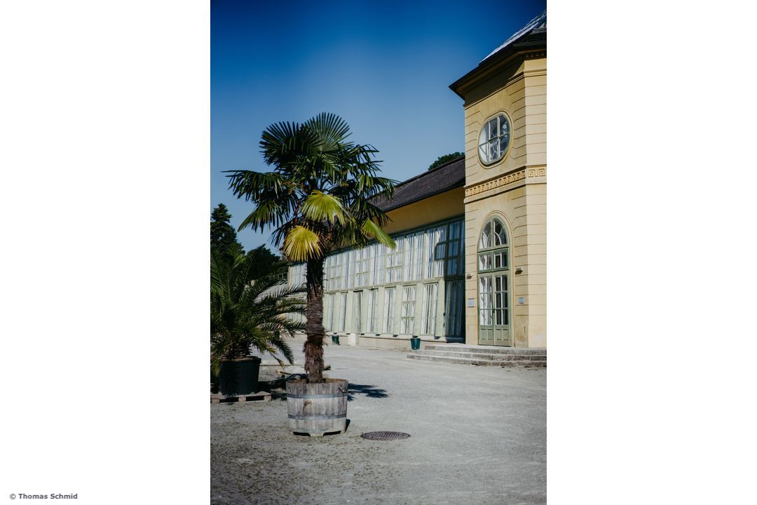 Orangerie Eisenstadt